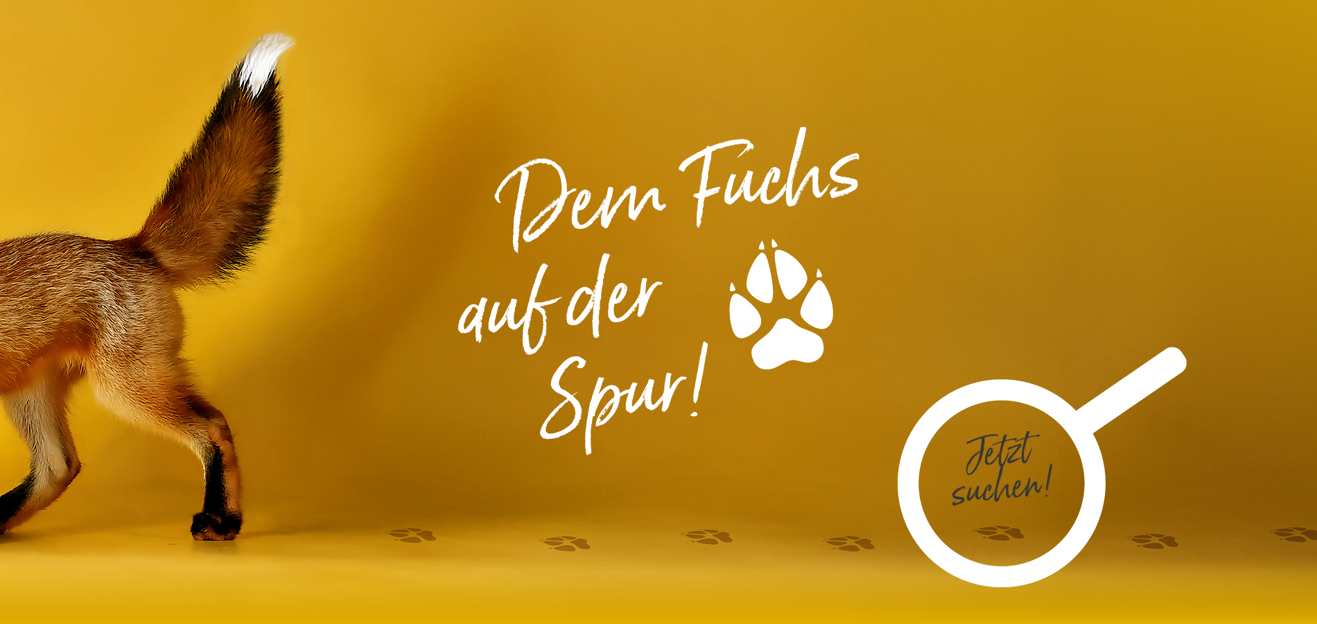 Dem Fuchs auf der Spur!